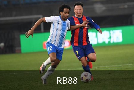 RB88概况