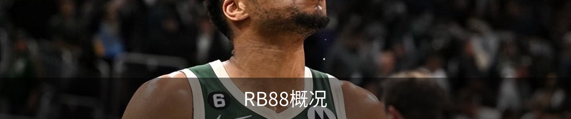 RB88概况
